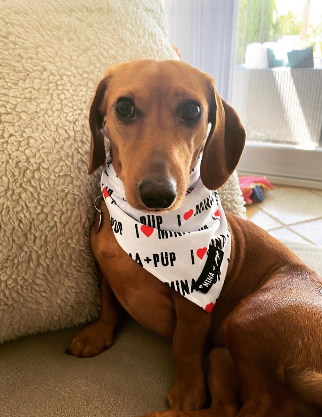 I ❤️ MINA + PUP SPECIAL EDITION ANNIVERSARY COOLING TIE ON BANDANA