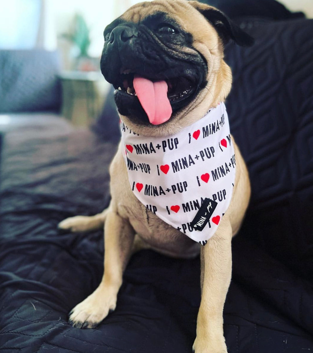 I ❤️ MINA + PUP SPECIAL EDITION ANNIVERSARY COOLING TIE ON BANDANA